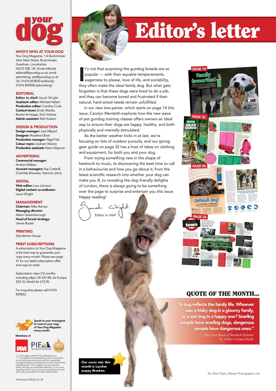 Your Dog Preview Pages