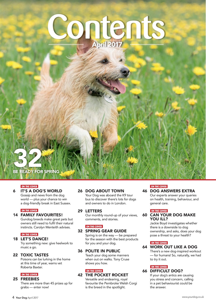 Your Dog Preview Pages