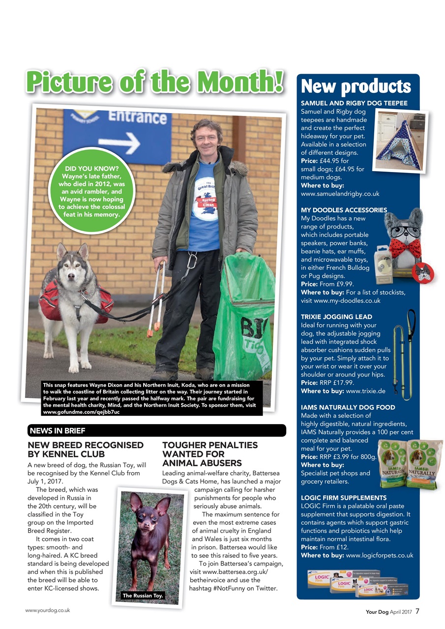 Your Dog Preview Pages