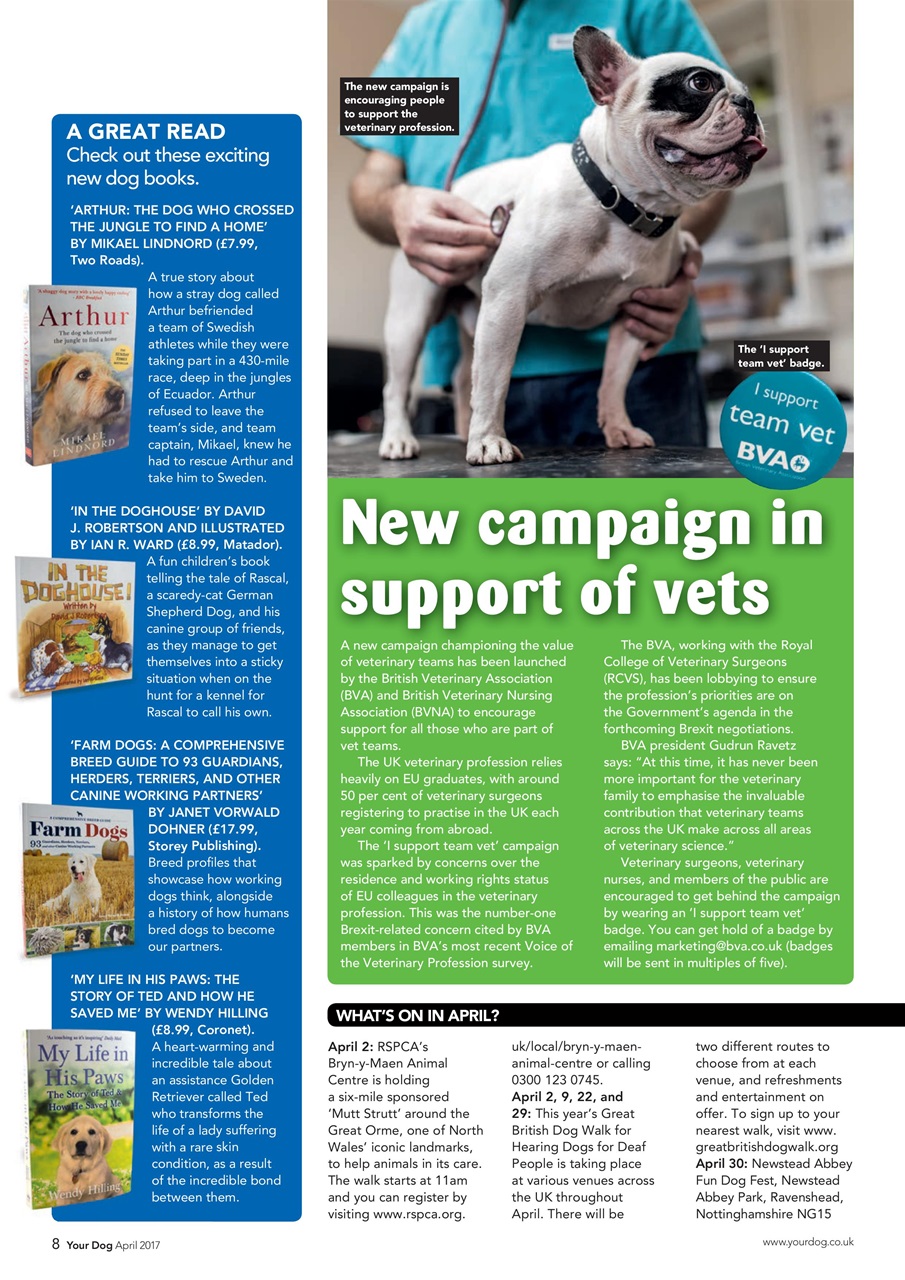 Your Dog Preview Pages