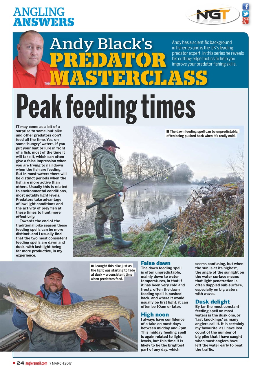 Anglers Mail Preview Pages
