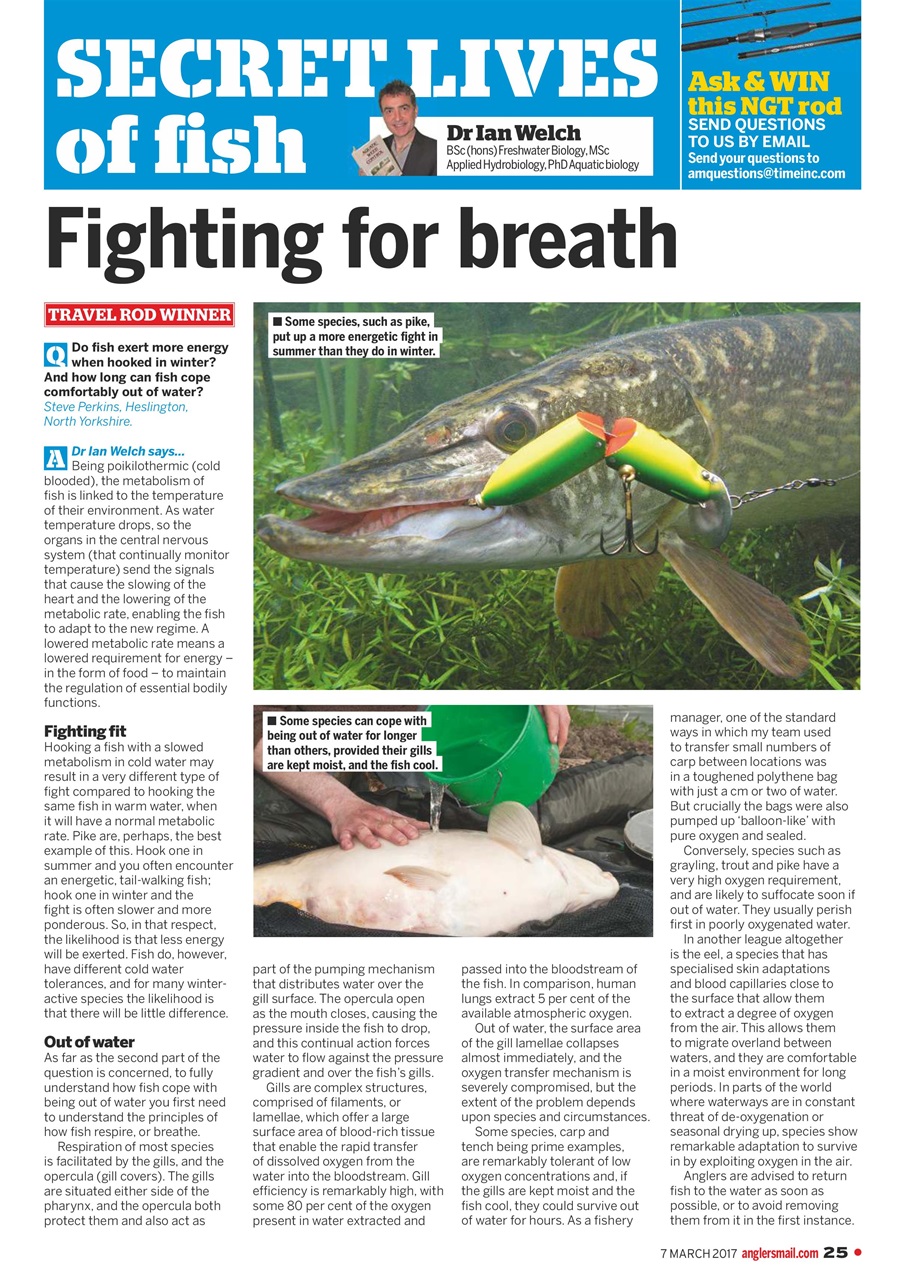 Anglers Mail Preview Pages