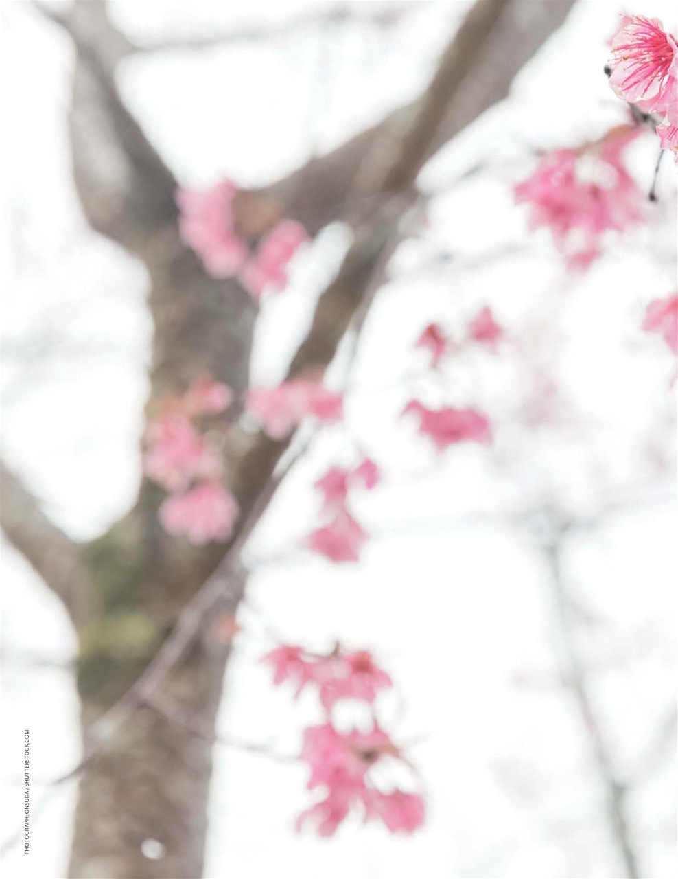 Breathe Preview Pages