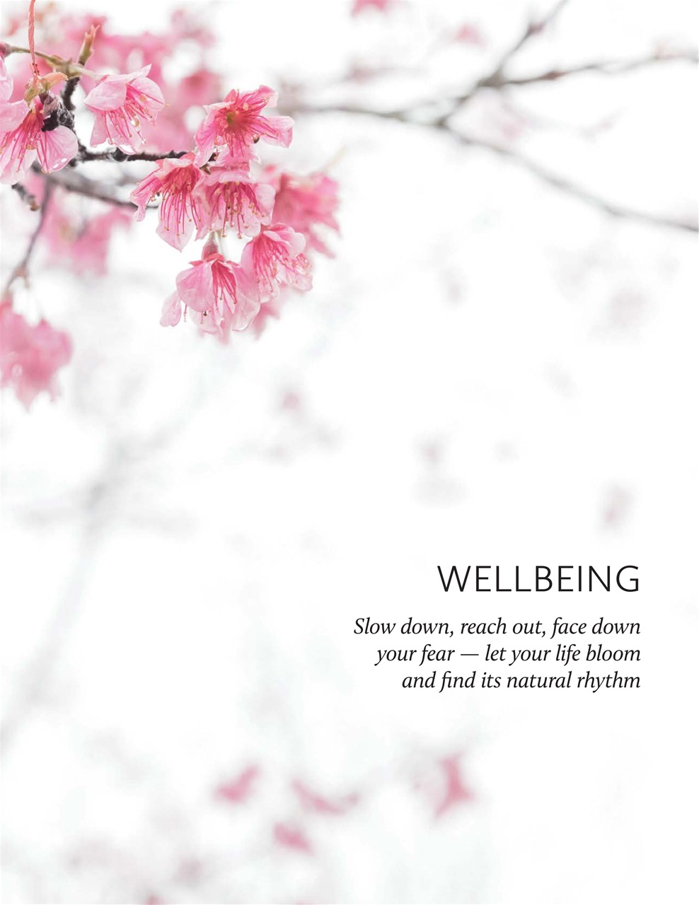 Breathe Preview Pages