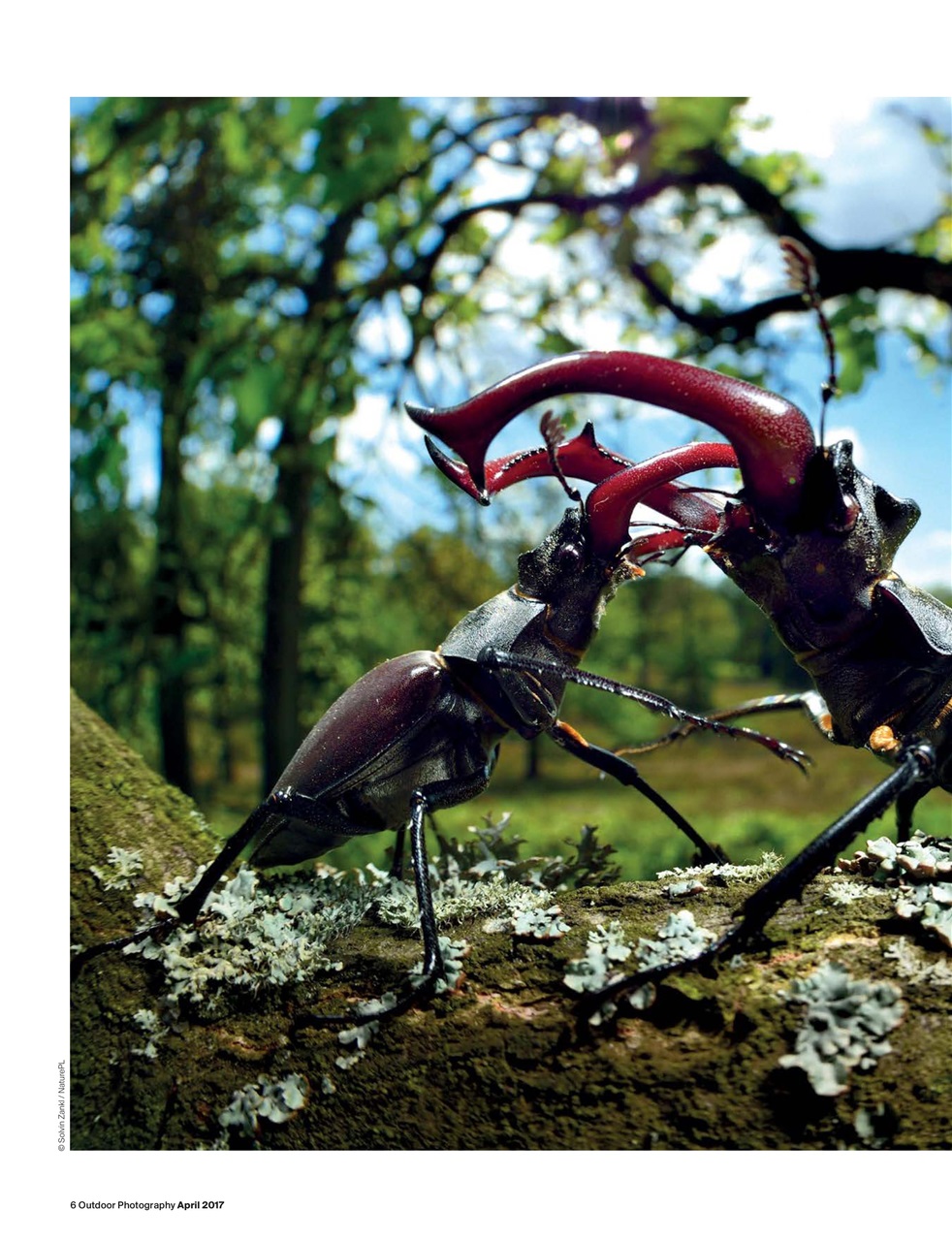 Outdoor Photography Preview Pages