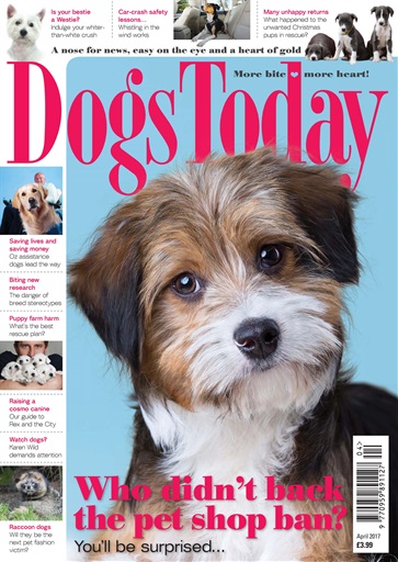 Dogs Today Magazine issue 