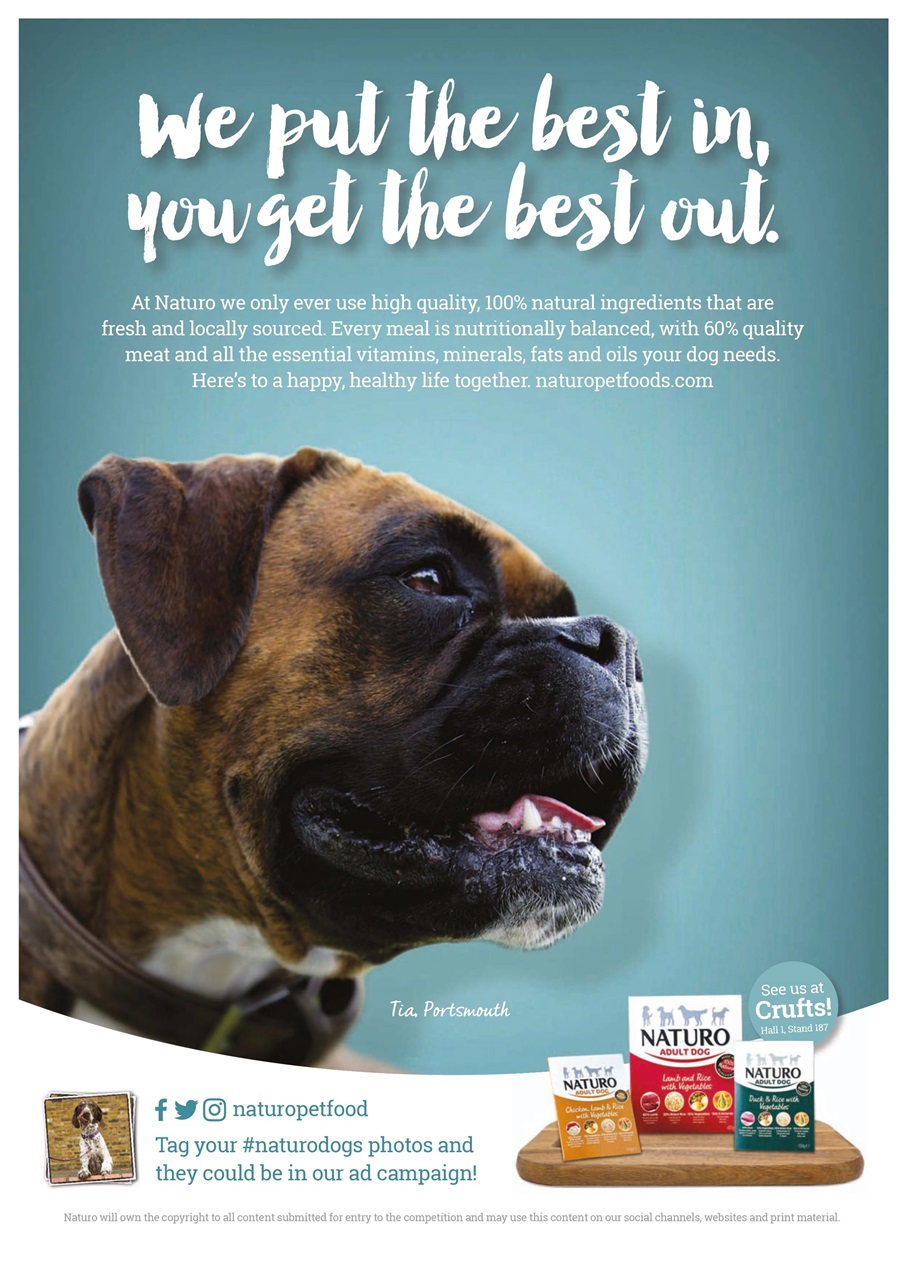 Dogs Today Magazine Preview Pages