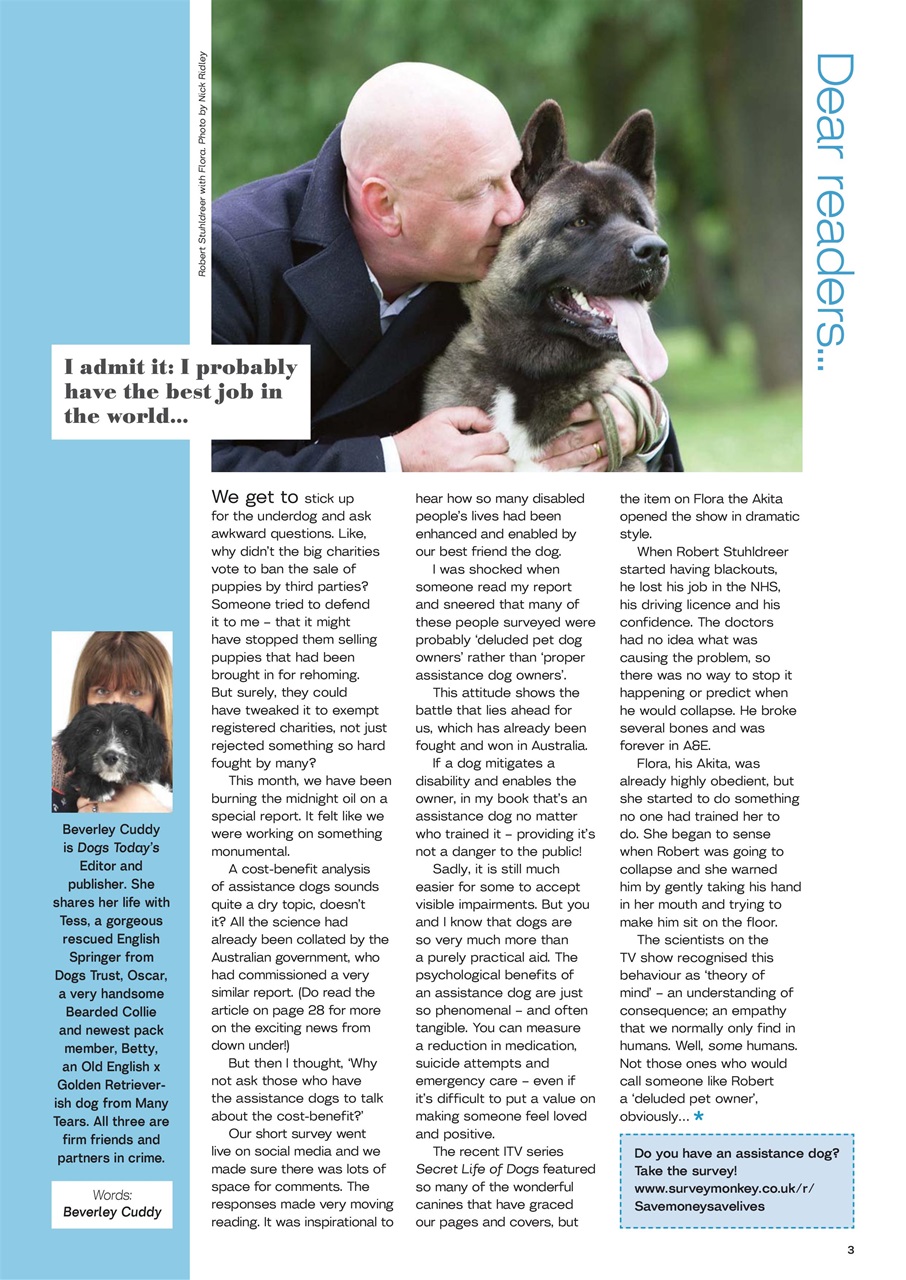 Dogs Today Magazine Preview Pages