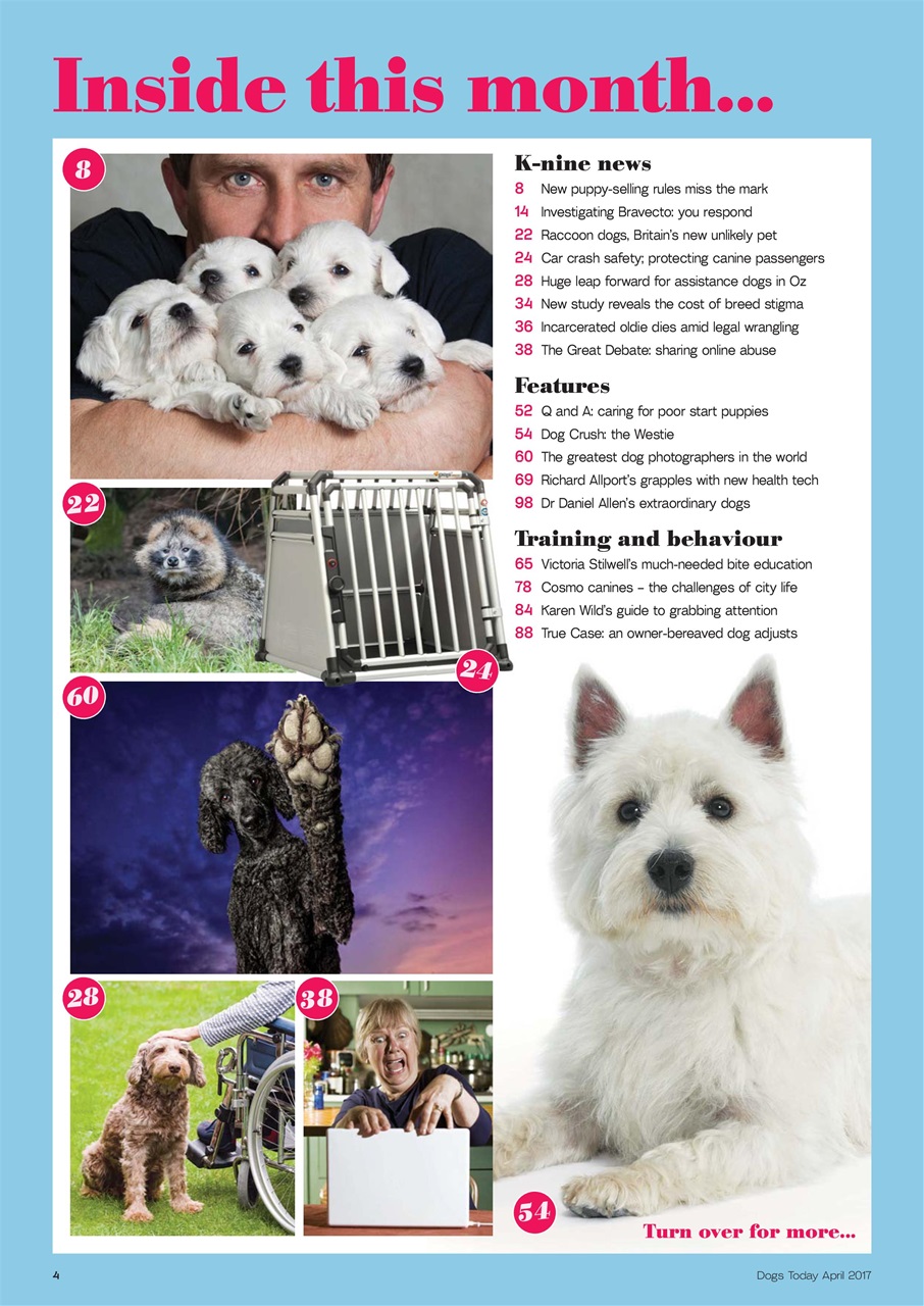 Dogs Today Magazine Preview Pages