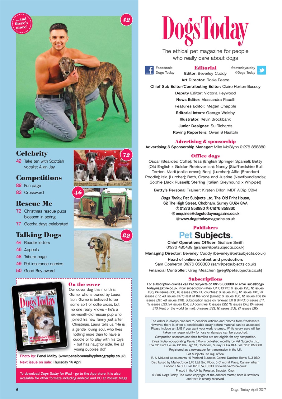 Dogs Today Magazine Preview Pages