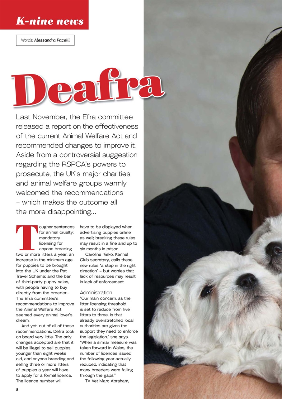 Dogs Today Magazine Preview Pages