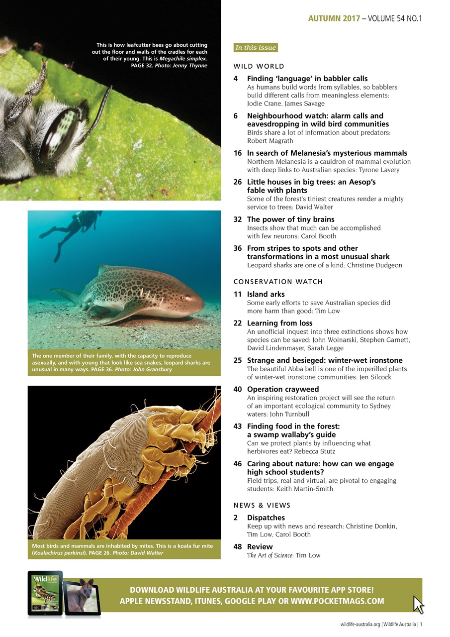 Wildlife Australia Preview Pages