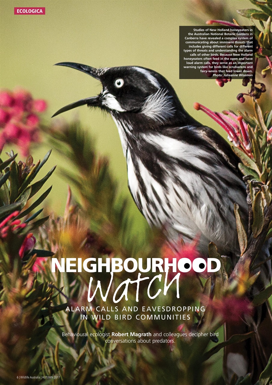 Wildlife Australia Preview Pages