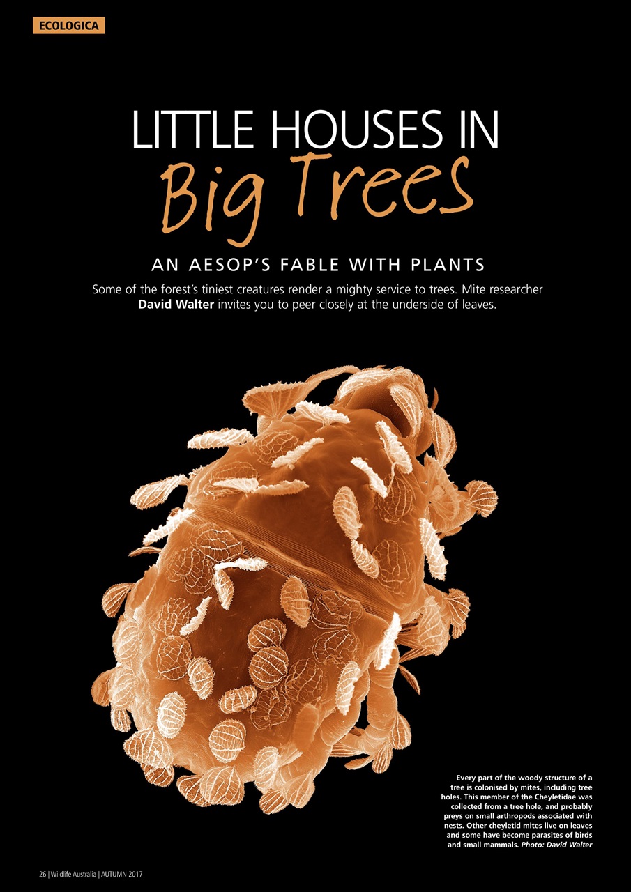 Wildlife Australia Preview Pages