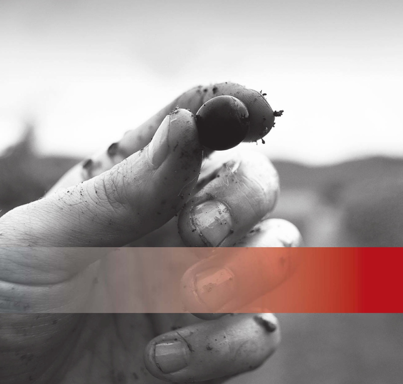 Drinks Trade Preview Pages