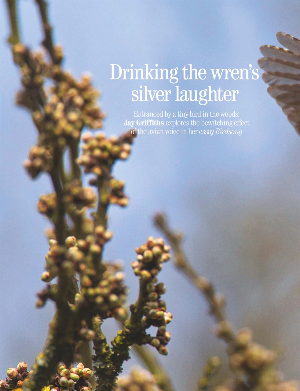 Country Life Preview Pages