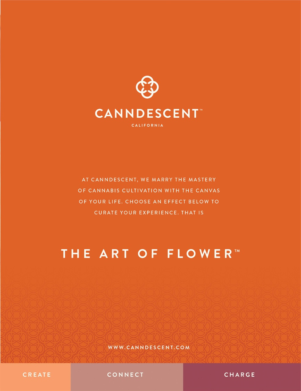 Cannabis Now Preview Pages