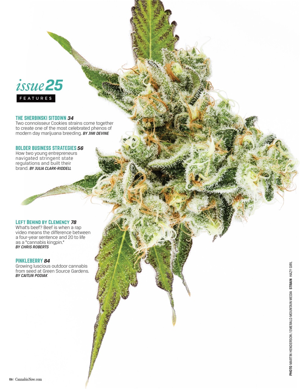 Cannabis Now Preview Pages