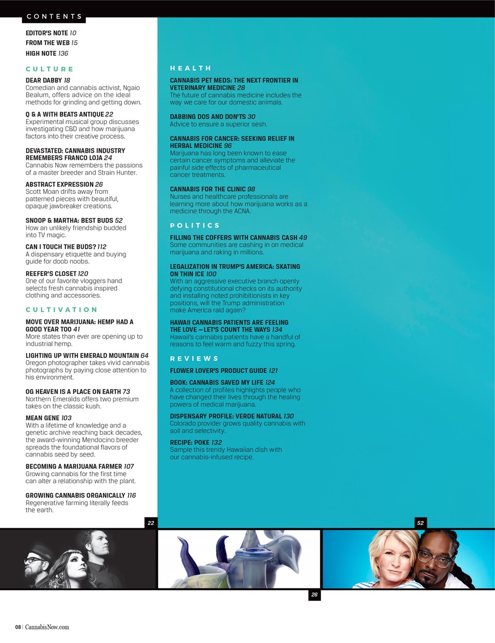 Cannabis Now Preview Pages