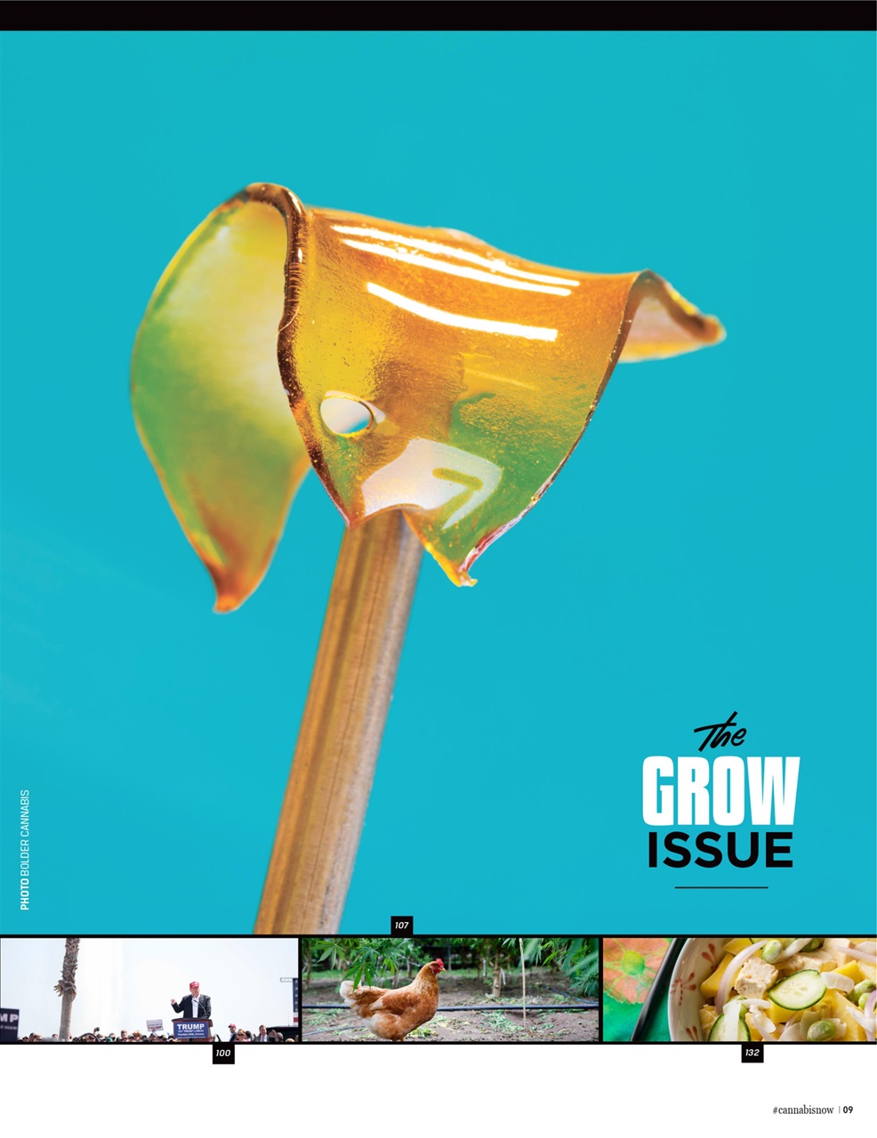 Cannabis Now Preview Pages