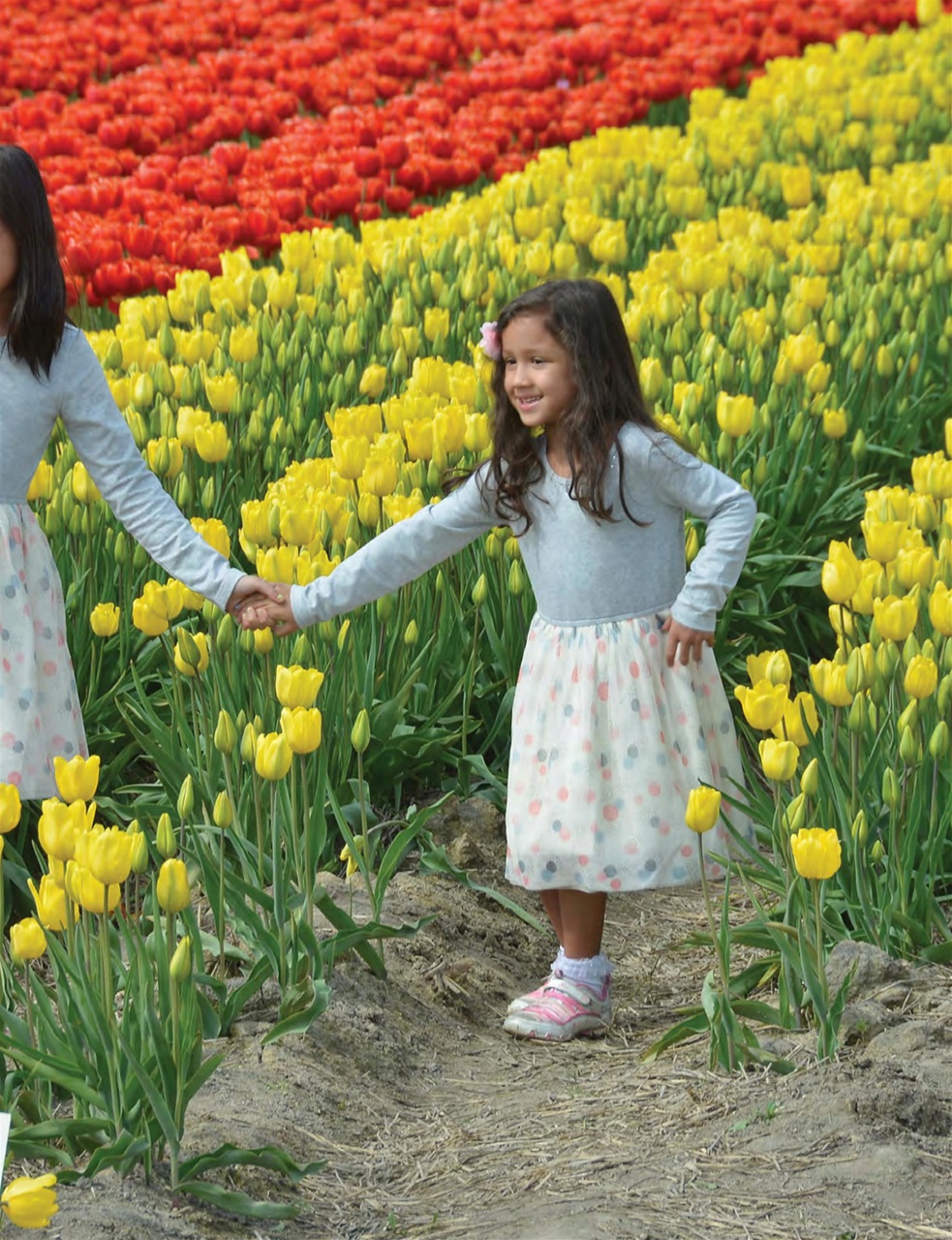 Snowbirds & RV Travelers Preview Pages