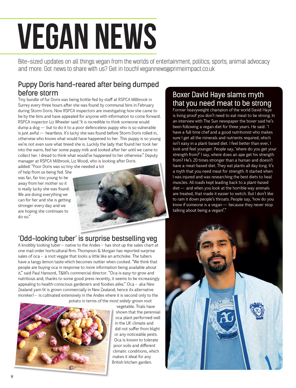 Vegan Life Preview Pages