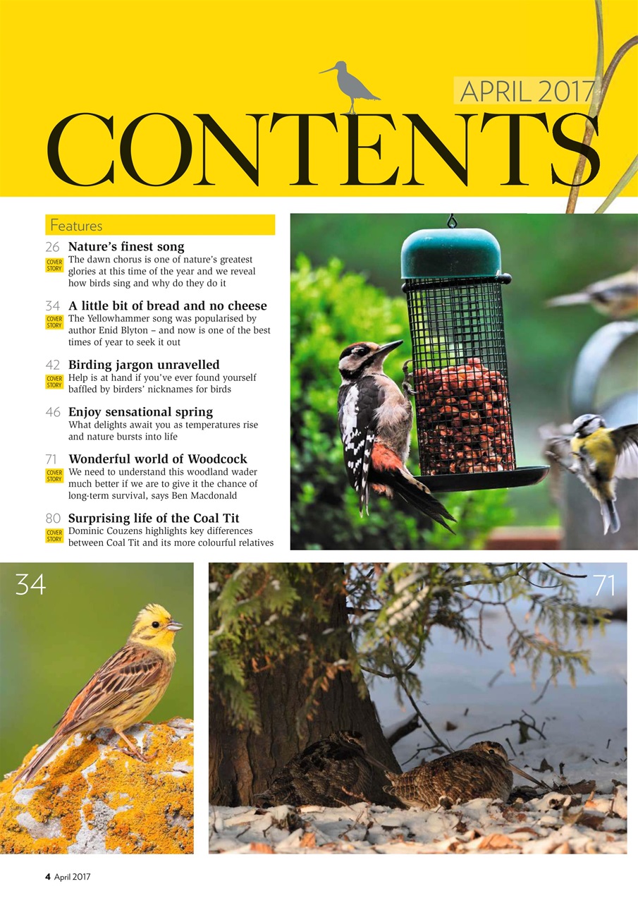 Bird Watching Preview Pages