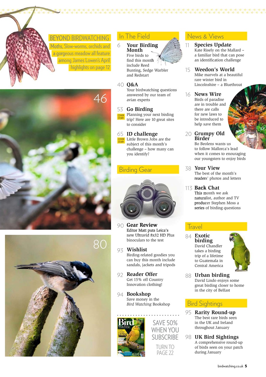Bird Watching Preview Pages