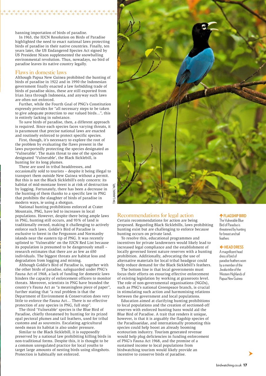 Bird Watching Preview Pages