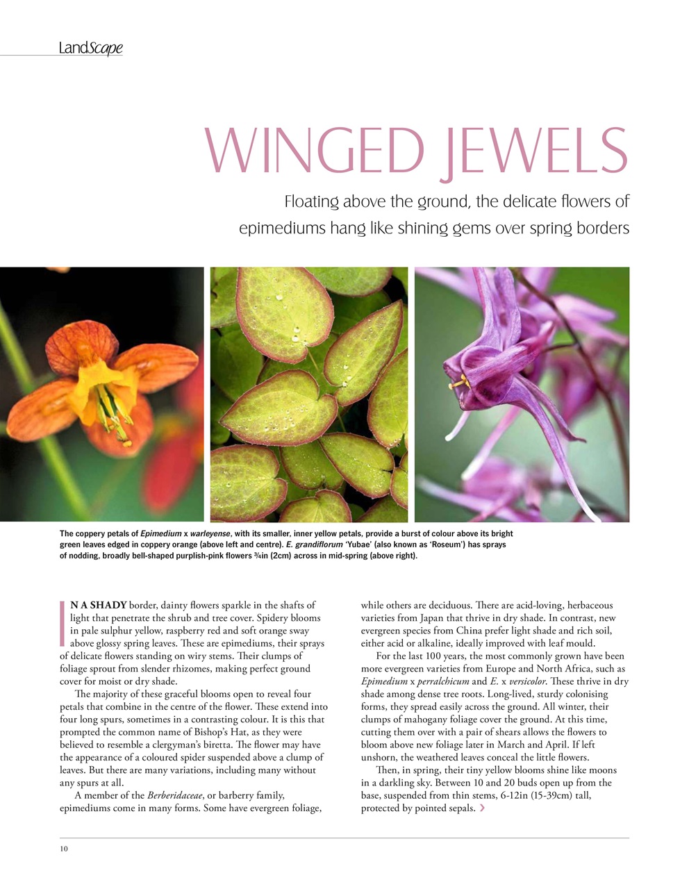 LandScape Preview Pages