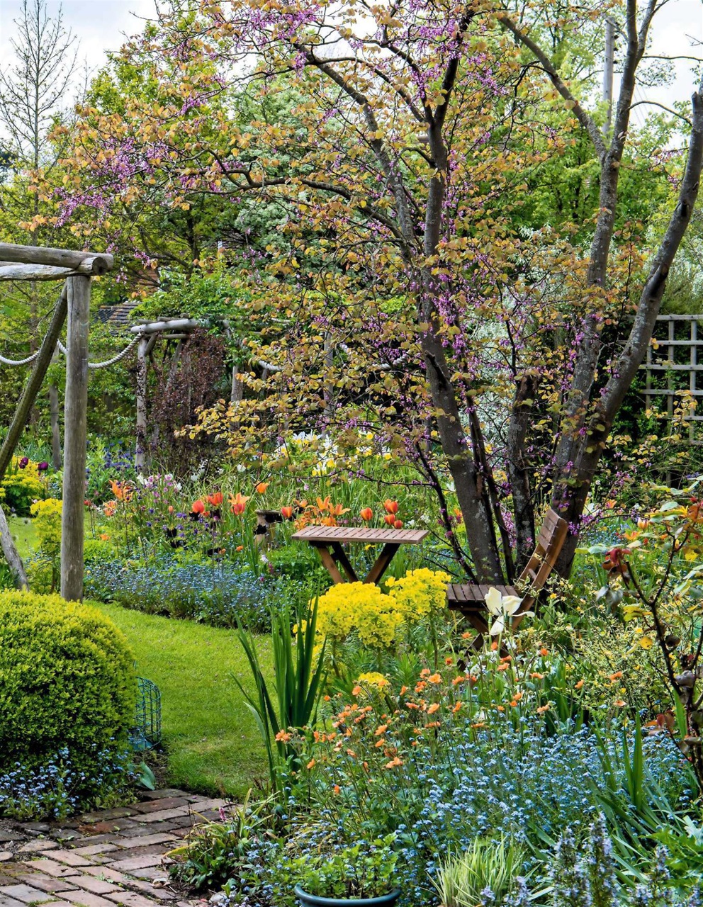 LandScape Preview Pages