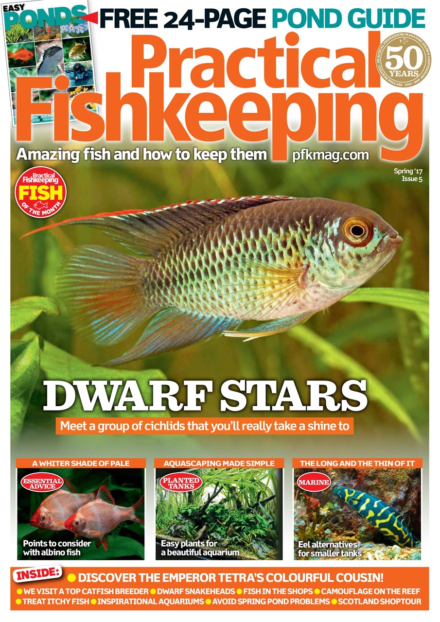 Practical Fishkeeping Preview Pages