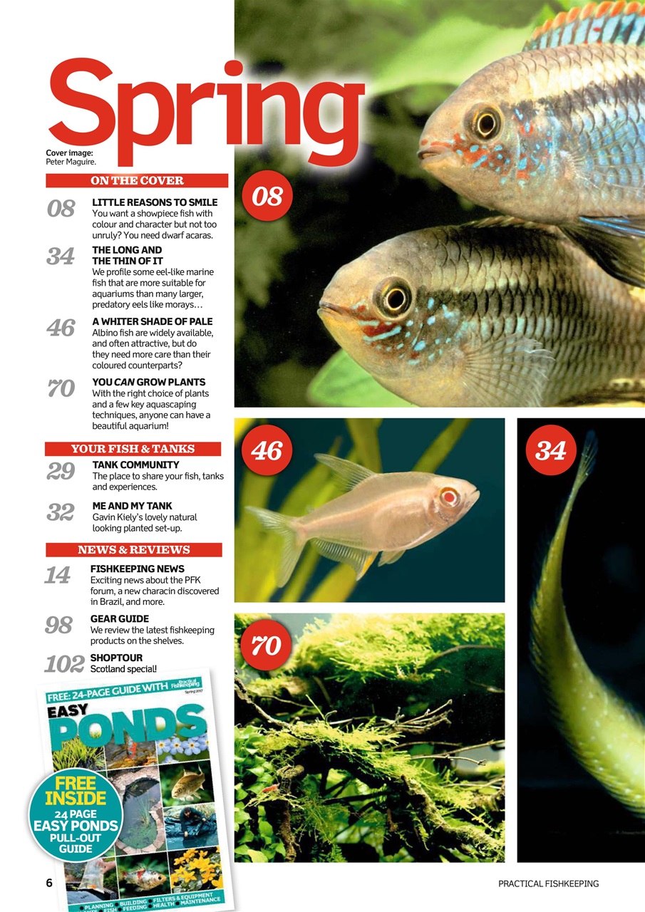 Practical Fishkeeping Preview Pages
