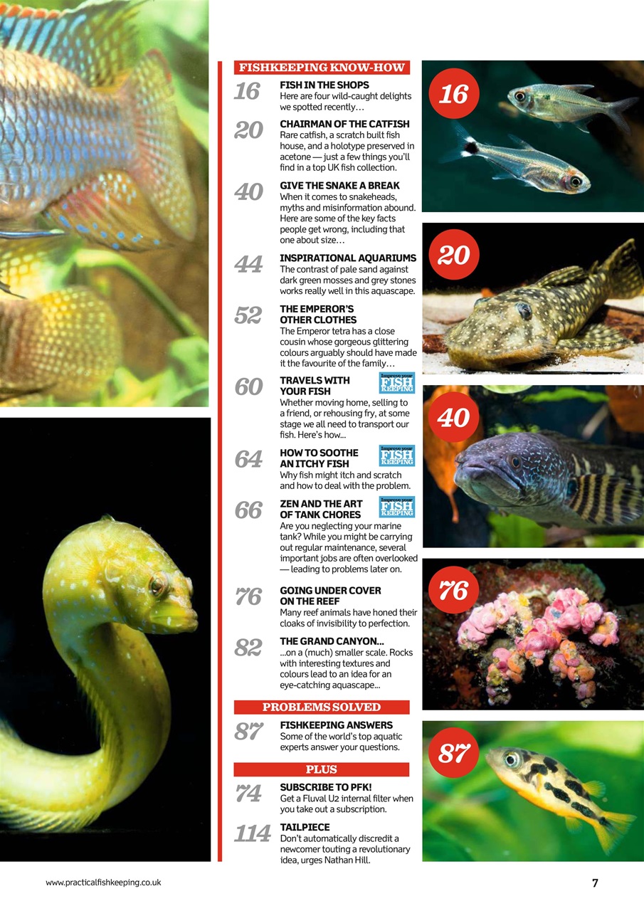 Practical Fishkeeping Preview Pages