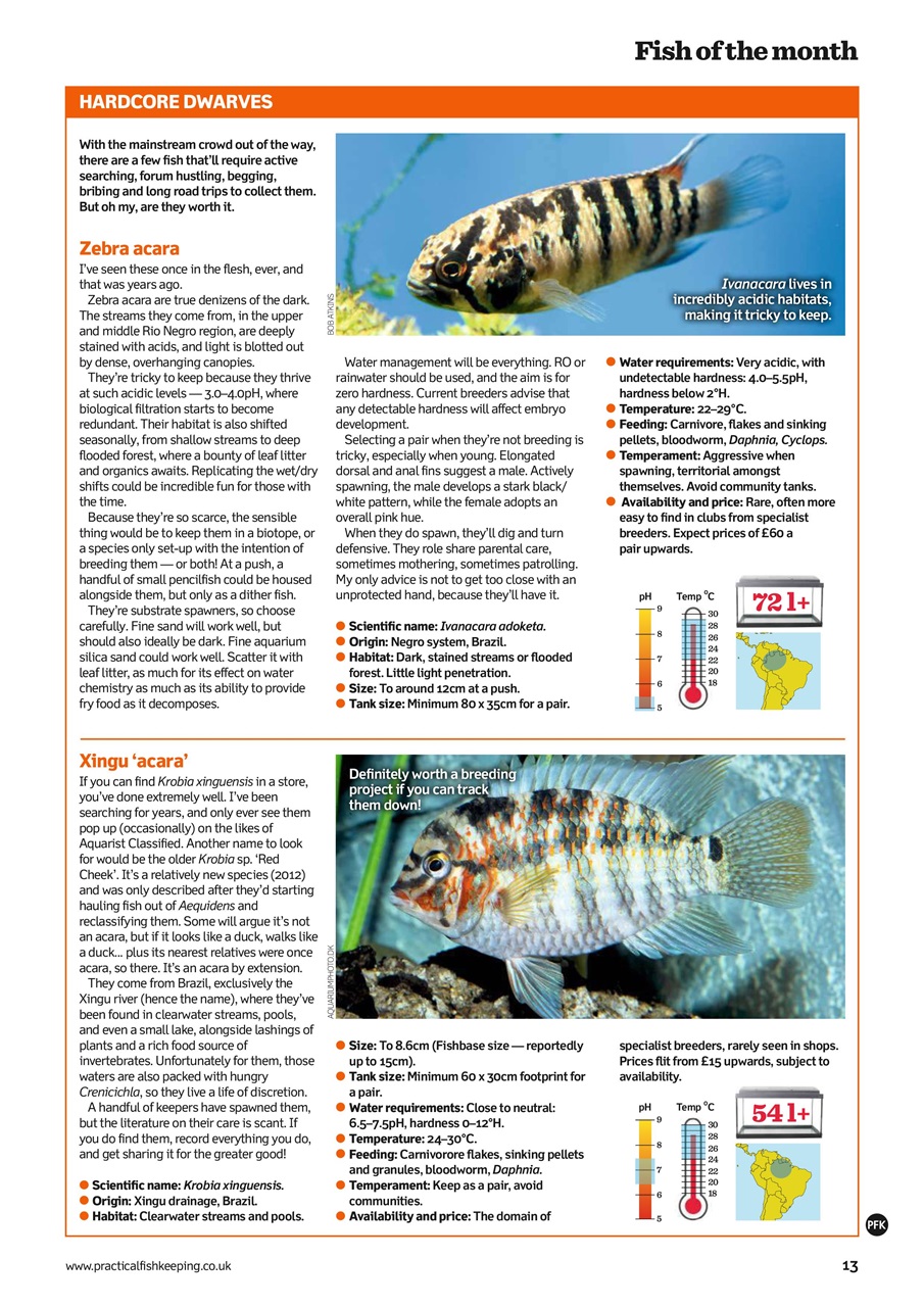 Practical Fishkeeping Preview Pages
