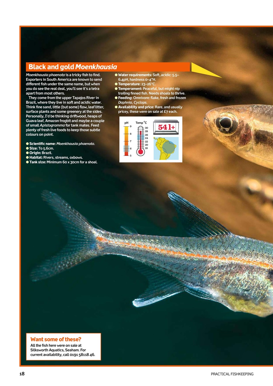 Practical Fishkeeping Preview Pages