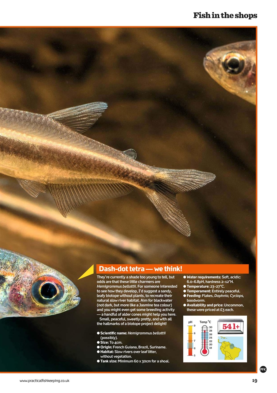 Practical Fishkeeping Preview Pages