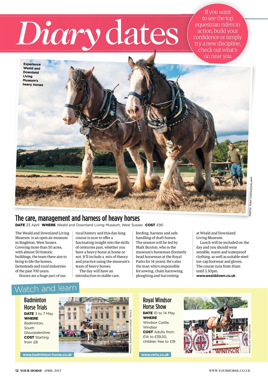 Your Horse Preview Pages