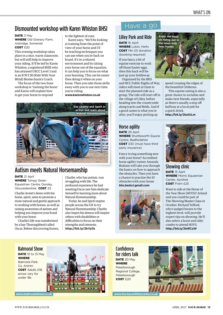 Your Horse Preview Pages