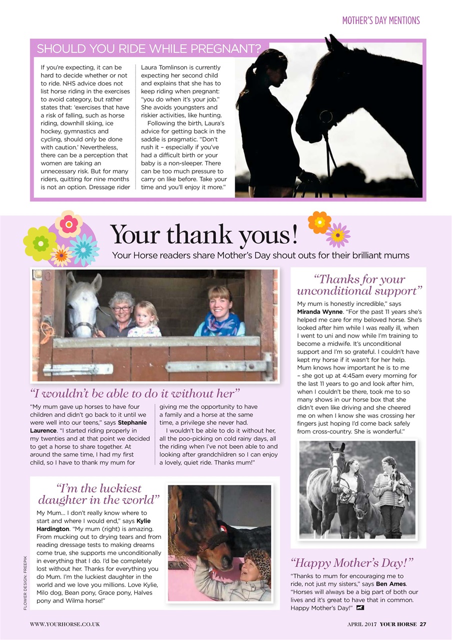 Your Horse Preview Pages