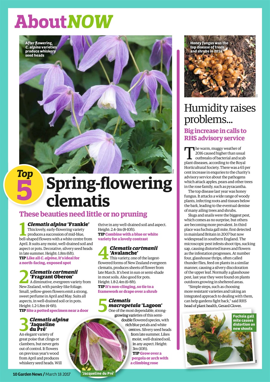 Garden News Preview Pages