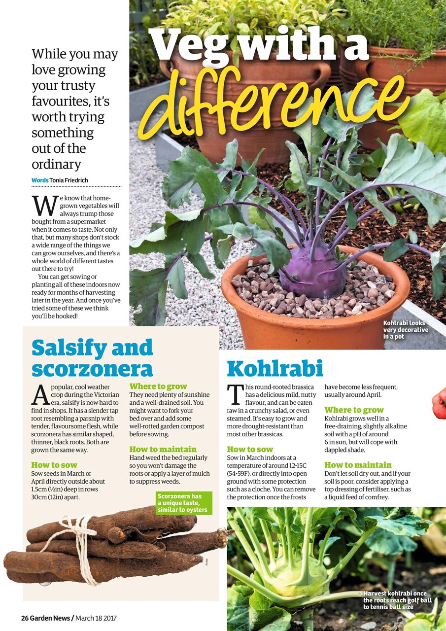 Garden News Preview Pages