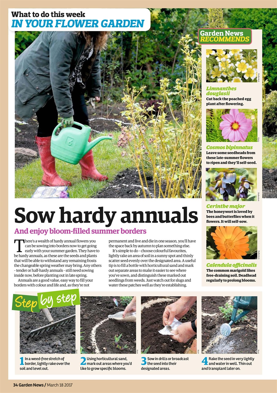 Garden News Preview Pages