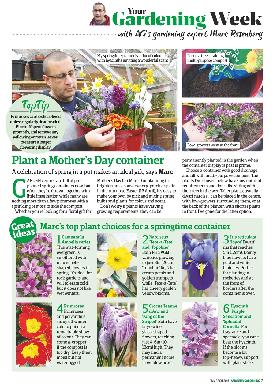 Amateur Gardening Preview Pages