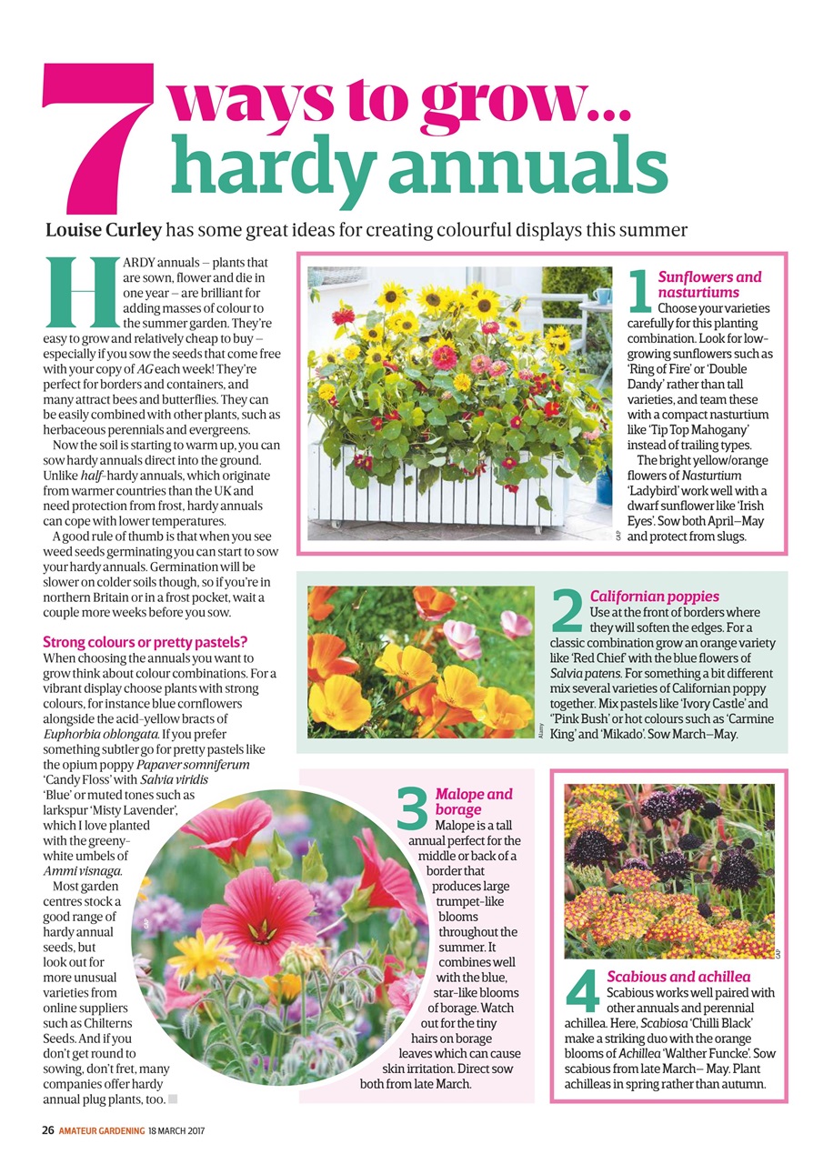 Amateur Gardening Preview Pages