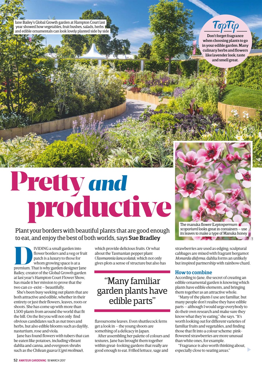 Amateur Gardening Preview Pages