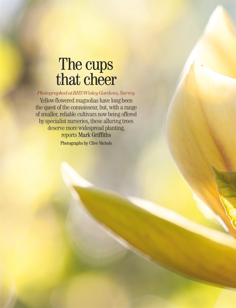 Country Life Preview Pages