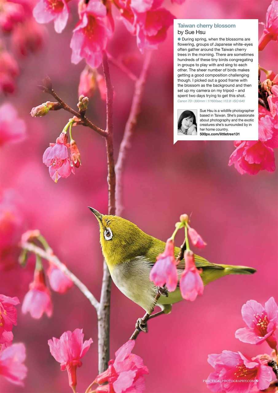 Practical Photography Preview Pages