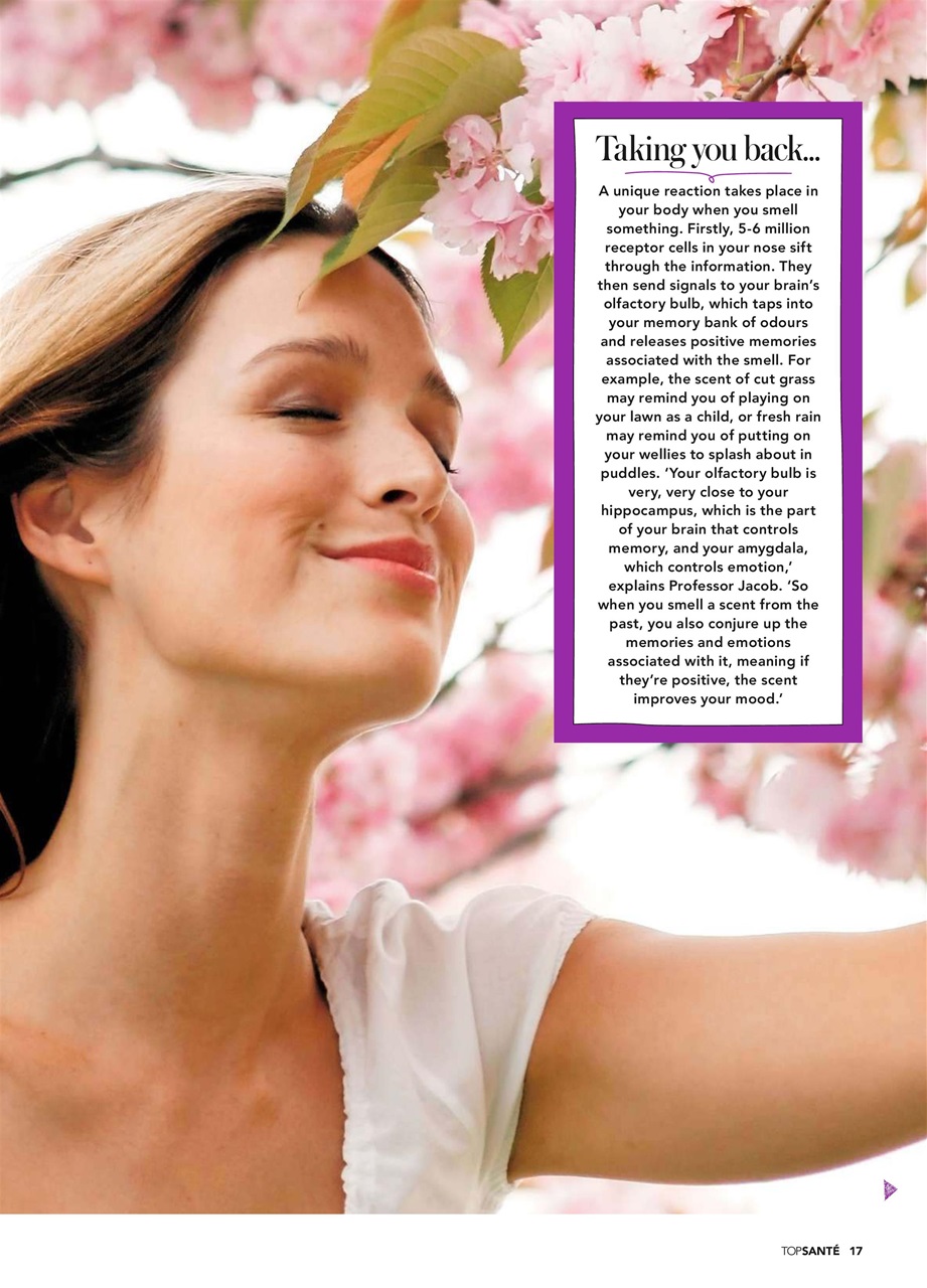 Top Sante Preview Pages