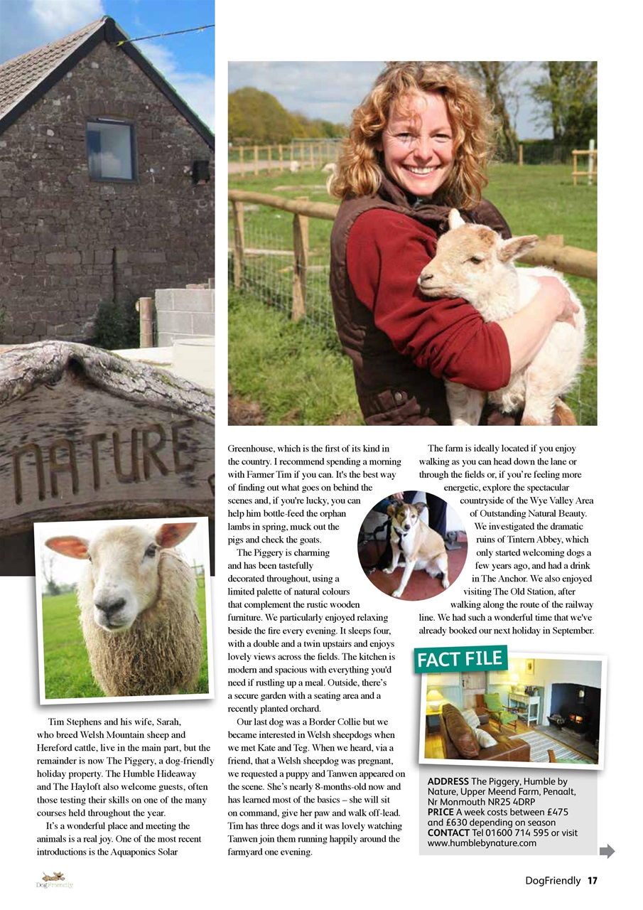 Dog Friendly Preview Pages